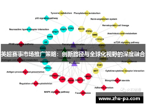 英超赛事市场推广策略：创新路径与全球化视野的深度融合
