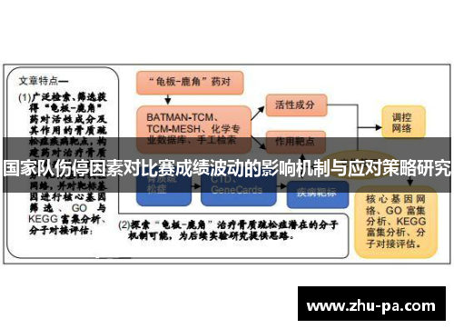 国家队伤停因素对比赛成绩波动的影响机制与应对策略研究 国家队伤停因素对比赛成绩波动的影响机制与应对策略研究