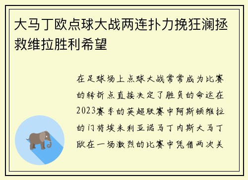 大马丁欧点球大战两连扑力挽狂澜拯救维拉胜利希望